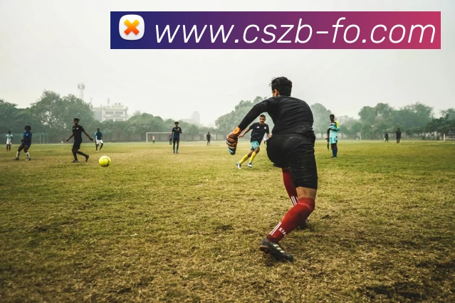 彩神争霸平台生态图